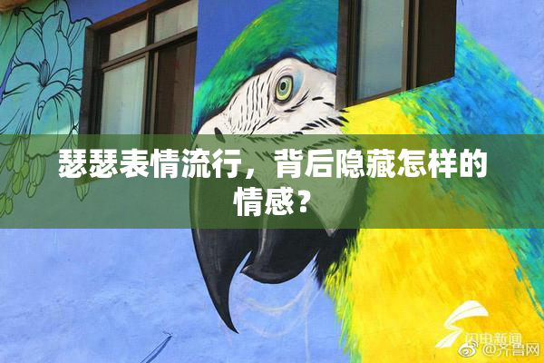 瑟瑟表情流行，背后隐藏怎样的情感？