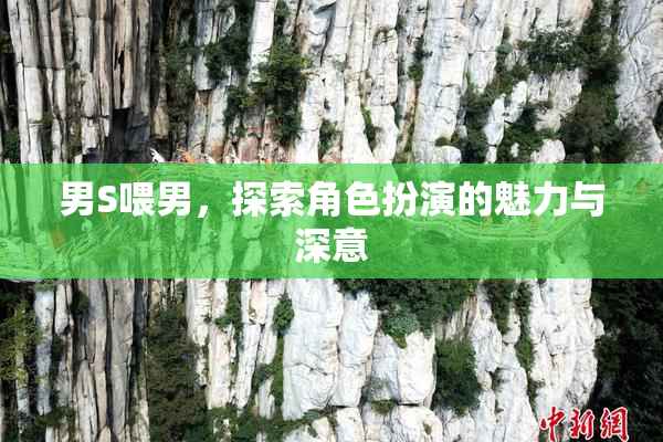 男S喂男，探索角色扮演的魅力与深意