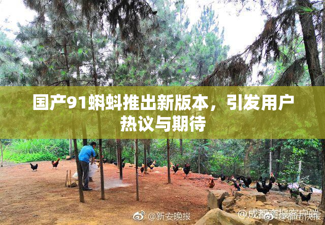 国产91蝌蚪推出新版本，引发用户热议与期待