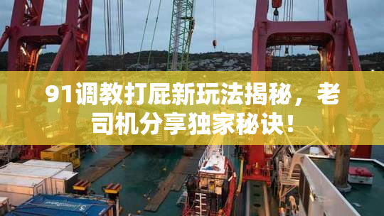 91调教打屁新玩法揭秘，老司机分享独家秘诀！