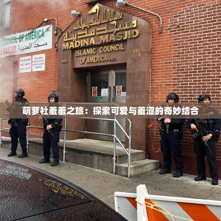 萌萝社羞羞之旅：探索可爱与羞涩的奇妙结合