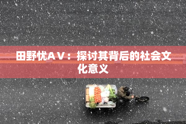 田野忧AⅤ：探讨其背后的社会文化意义