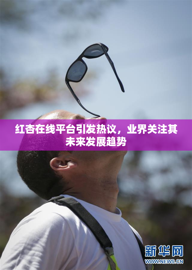 红杏在线平台引发热议，业界关注其未来发展趋势