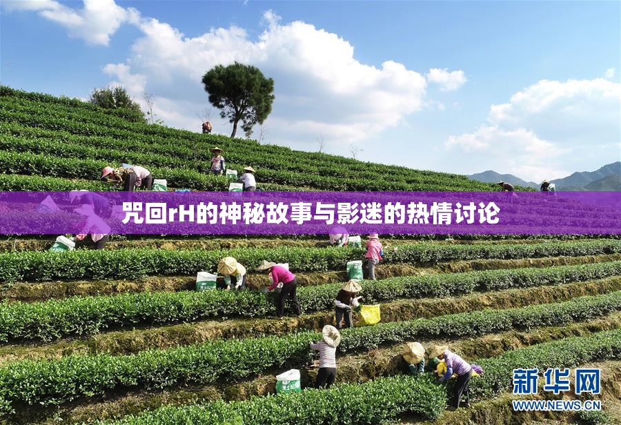 咒回rH的神秘故事与影迷的热情讨论