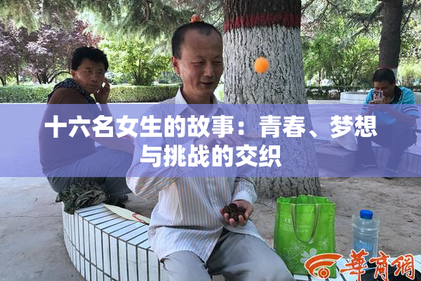十六名女生的故事：青春、梦想与挑战的交织