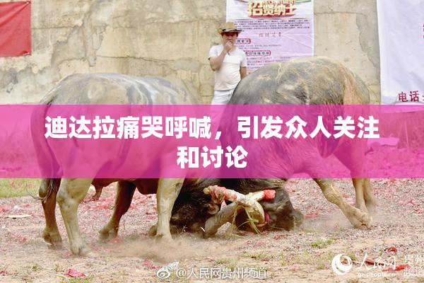 迪达拉痛哭呼喊，引发众人关注和讨论