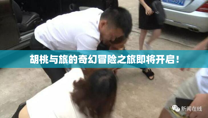 胡桃与旅的奇幻冒险之旅即将开启！