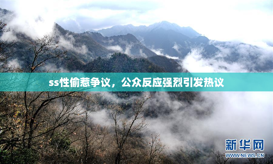 ss性偷惹争议，公众反应强烈引发热议