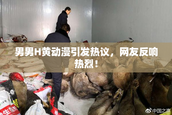 男男H黄动漫引发热议，网友反响热烈！