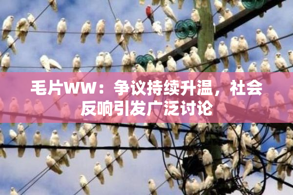 毛片WW：争议持续升温，社会反响引发广泛讨论