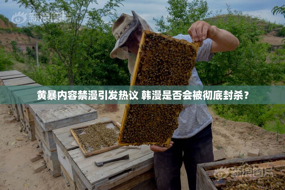 黄暴内容禁漫引发热议 韩漫是否会被彻底封杀？