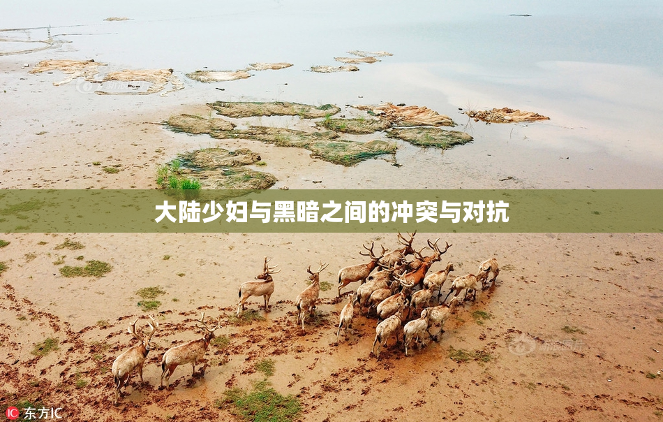 大陆少妇与黑暗之间的冲突与对抗