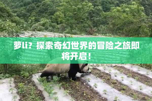 萝li？探索奇幻世界的冒险之旅即将开启！