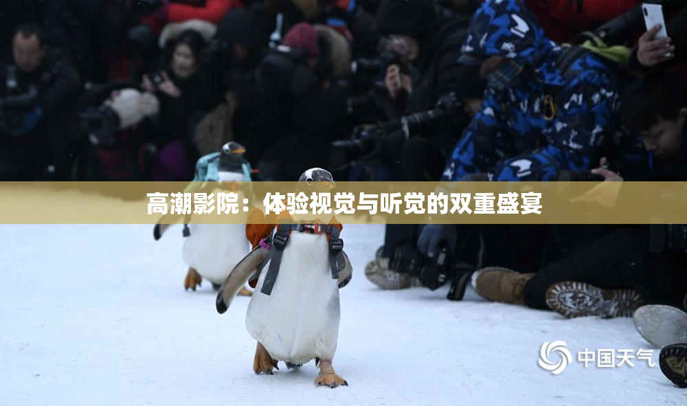 高潮影院：体验视觉与听觉的双重盛宴