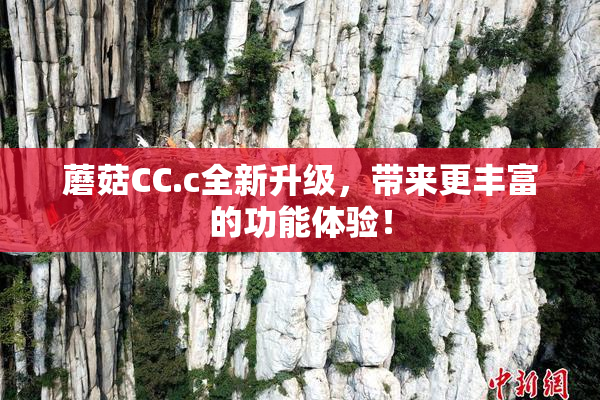 蘑菇CC.c全新升级，带来更丰富的功能体验！