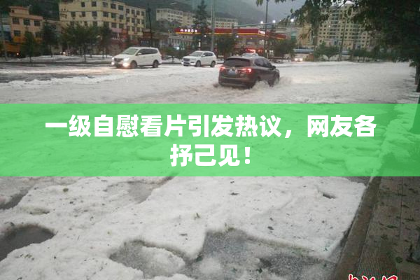 一级自慰看片引发热议，网友各抒己见！