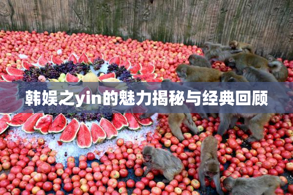 韩娱之yin的魅力揭秘与经典回顾