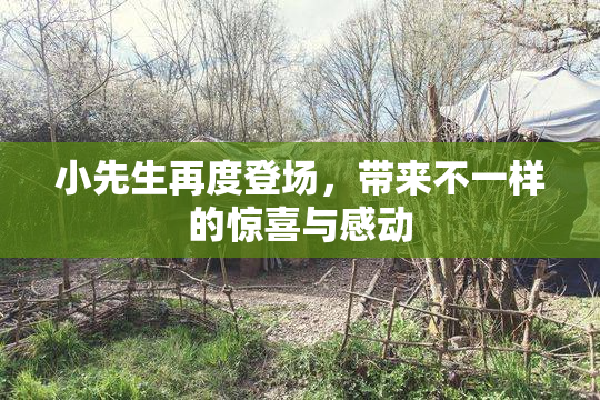 小先生再度登场，带来不一样的惊喜与感动