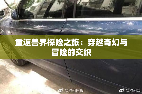 重返兽界探险之旅：穿越奇幻与冒险的交织