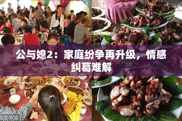 公与媳2：家庭纷争再升级，情感纠葛难解