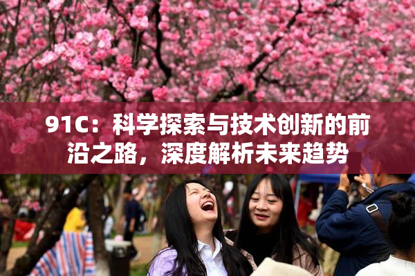 91C：科学探索与技术创新的前沿之路，深度解析未来趋势