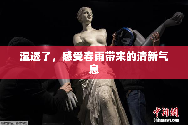 湿透了，感受春雨带来的清新气息