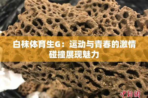 白袜体育生G：运动与青春的激情碰撞展现魅力