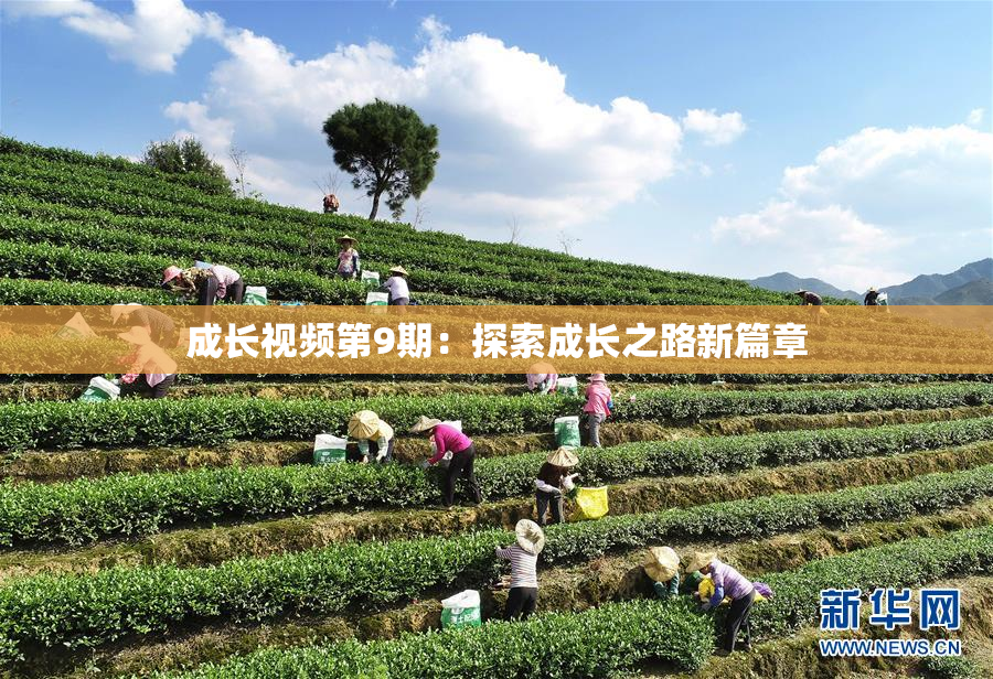 成长视频第9期：探索成长之路新篇章
