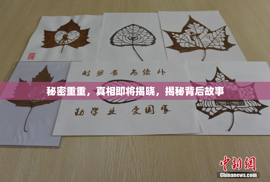 秘密重重，真相即将揭晓，揭秘背后故事