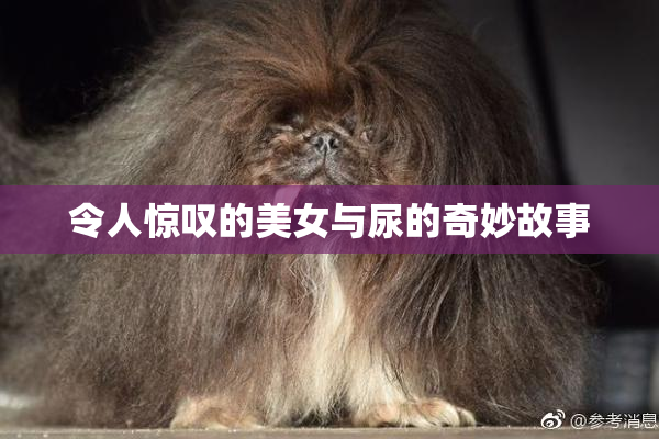 令人惊叹的美女与尿的奇妙故事