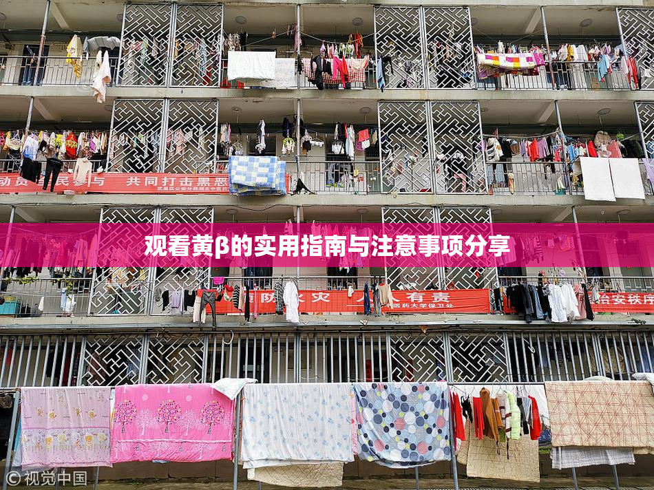 观看黄β的实用指南与注意事项分享
