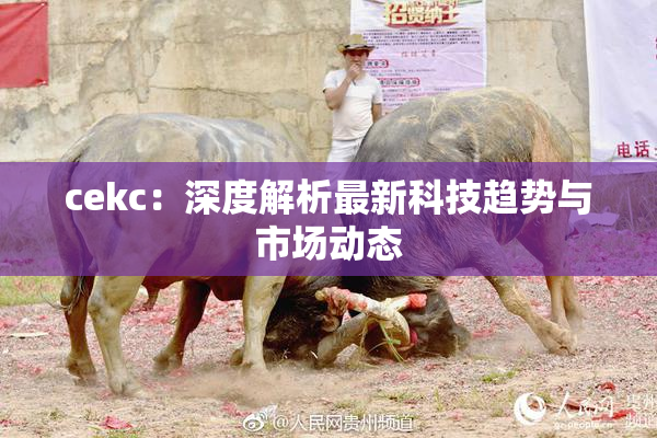 cekc：深度解析最新科技趋势与市场动态