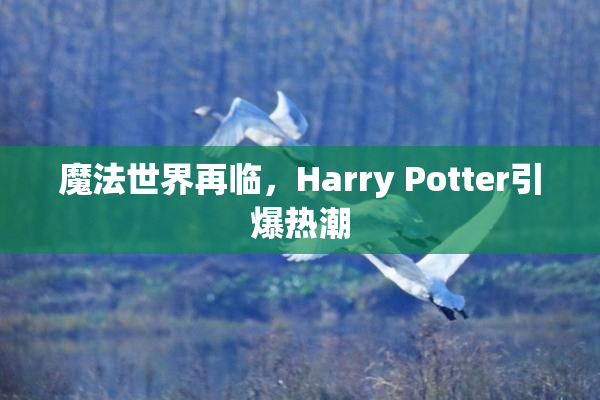 魔法世界再临，Harry Potter引爆热潮