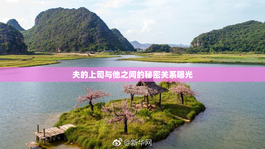 夫的上司与他之间的秘密关系曝光