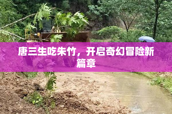 唐三生吃朱竹，开启奇幻冒险新篇章