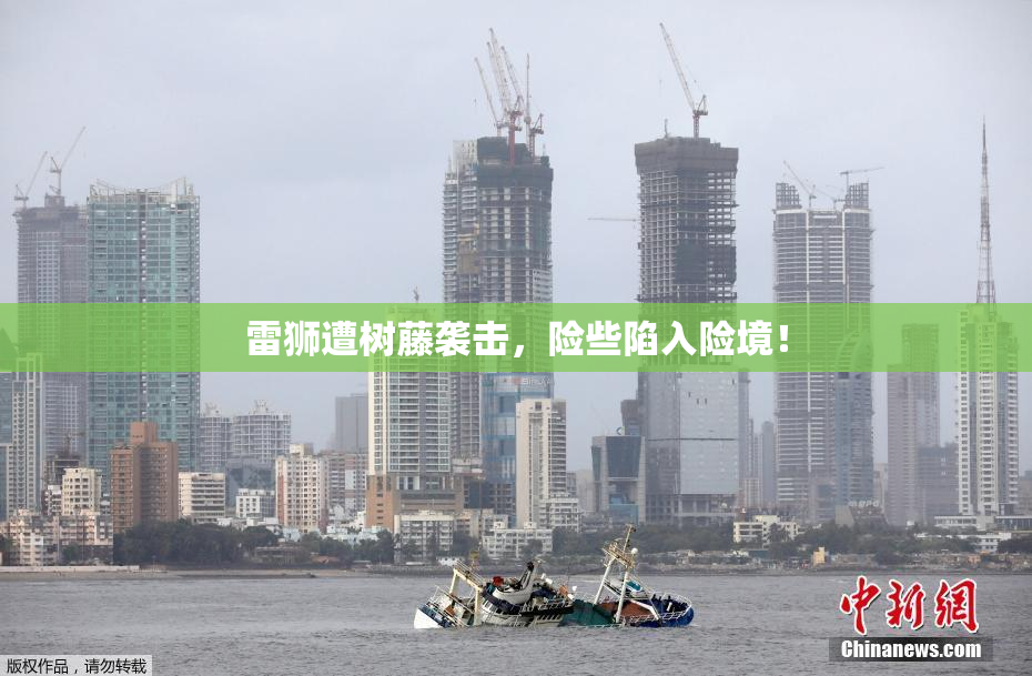 雷狮遭树藤袭击，险些陷入险境！