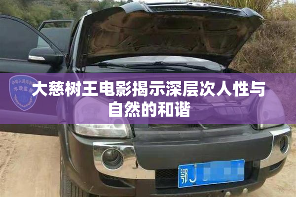 大慈树王电影揭示深层次人性与自然的和谐