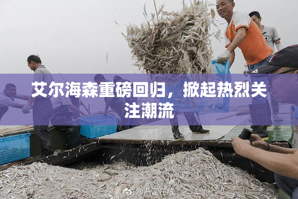 艾尔海森重磅回归，掀起热烈关注潮流