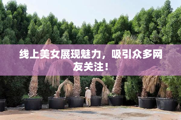 线上美女展现魅力，吸引众多网友关注！