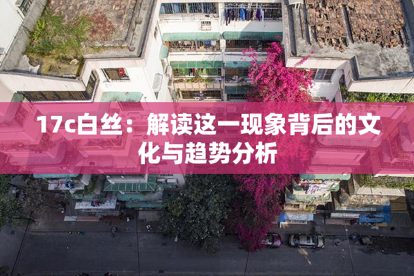 17c白丝：解读这一现象背后的文化与趋势分析