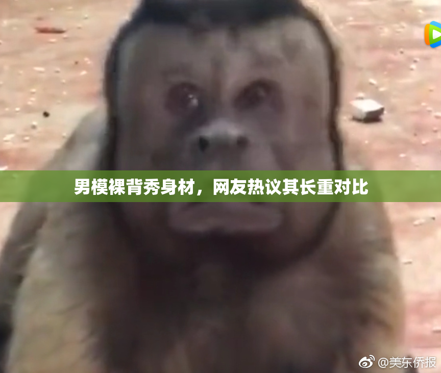 男模裸背秀身材，网友热议其长重对比