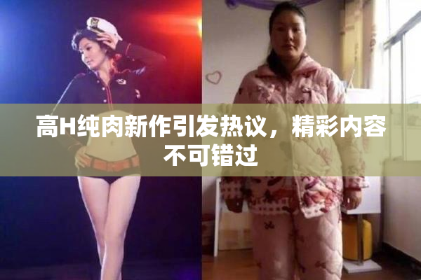 高H纯肉新作引发热议，精彩内容不可错过