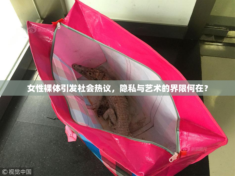 女性裸体引发社会热议，隐私与艺术的界限何在？