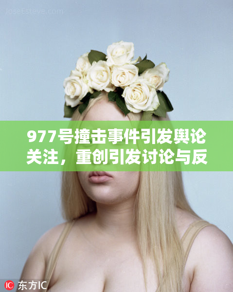 977号撞击事件引发舆论关注，重创引发讨论与反思