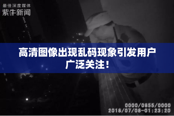 高清图像出现乱码现象引发用户广泛关注！