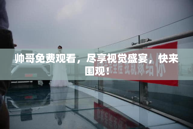 帅哥免费观看，尽享视觉盛宴，快来围观！