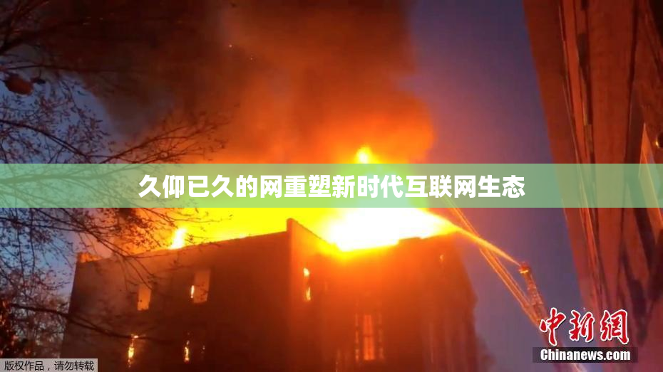 久仰已久的网重塑新时代互联网生态