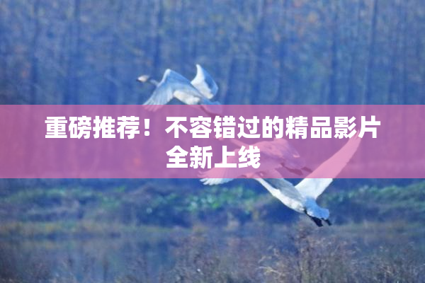 重磅推荐！不容错过的精品影片全新上线