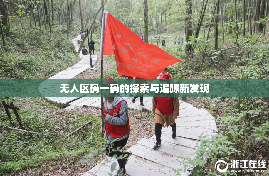无人区码一码的探索与追踪新发现