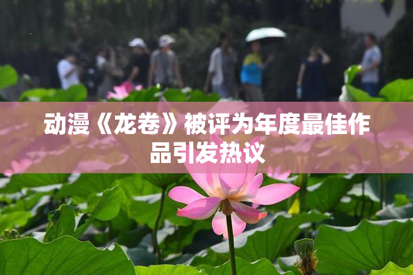 动漫《龙卷》被评为年度最佳作品引发热议